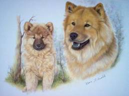Eurasier Hund Bella Luna - Gemaelde in Pastellkreide (2004 / Karin Schnabl