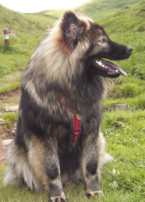 Foto: Werner Weth im Mai 2003